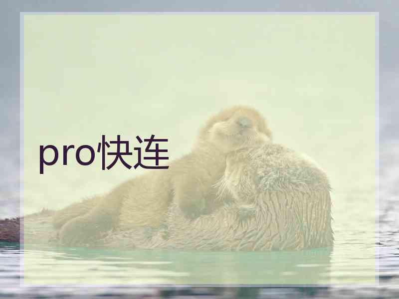 pro快连