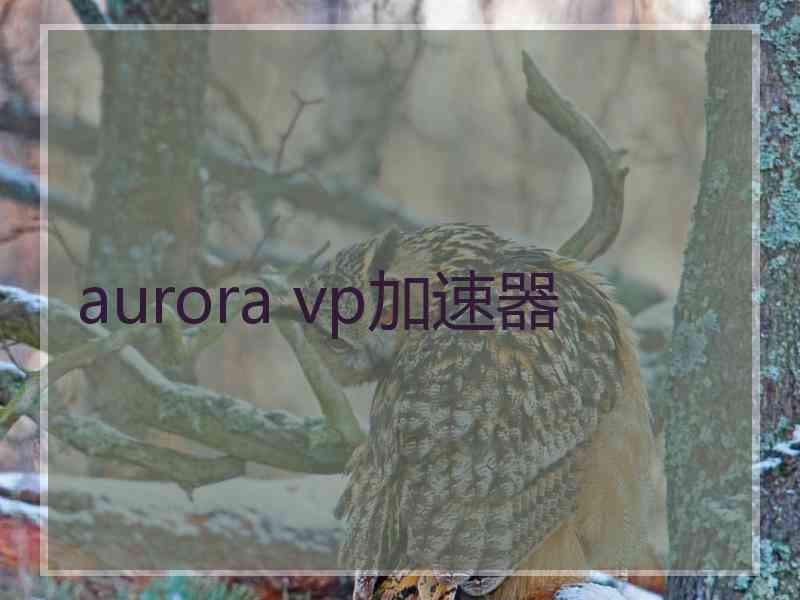 aurora vp加速器