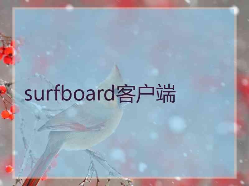 surfboard客户端