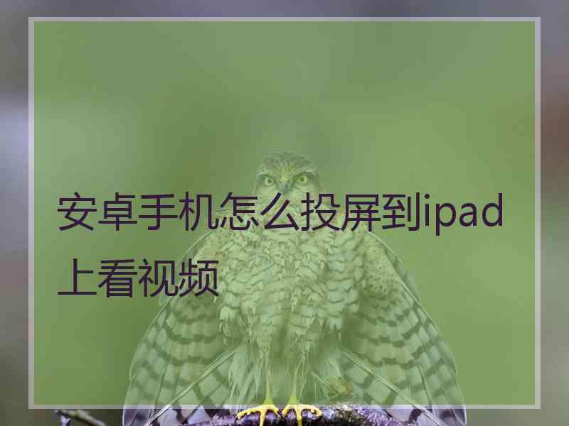 安卓手机怎么投屏到ipad上看视频