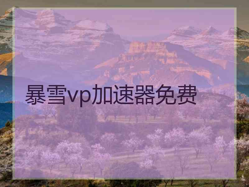 暴雪vp加速器免费