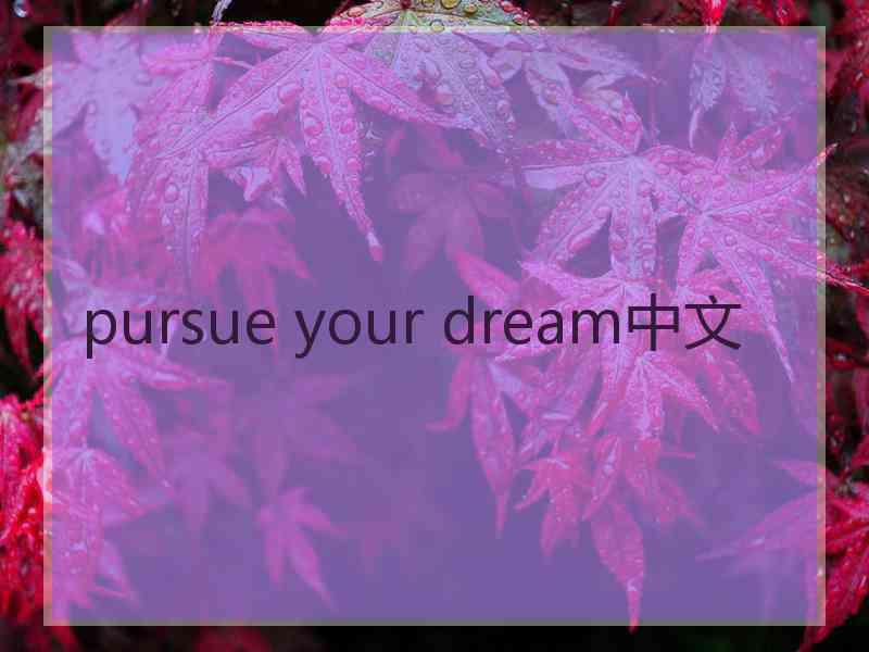 pursue your dream中文