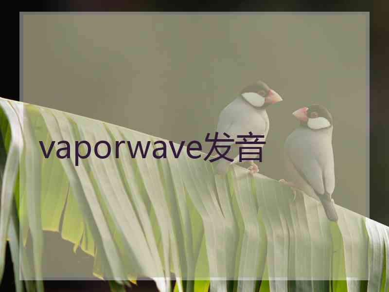 vaporwave发音