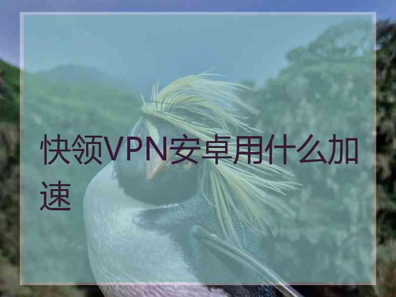 快领VPN安卓用什么加速