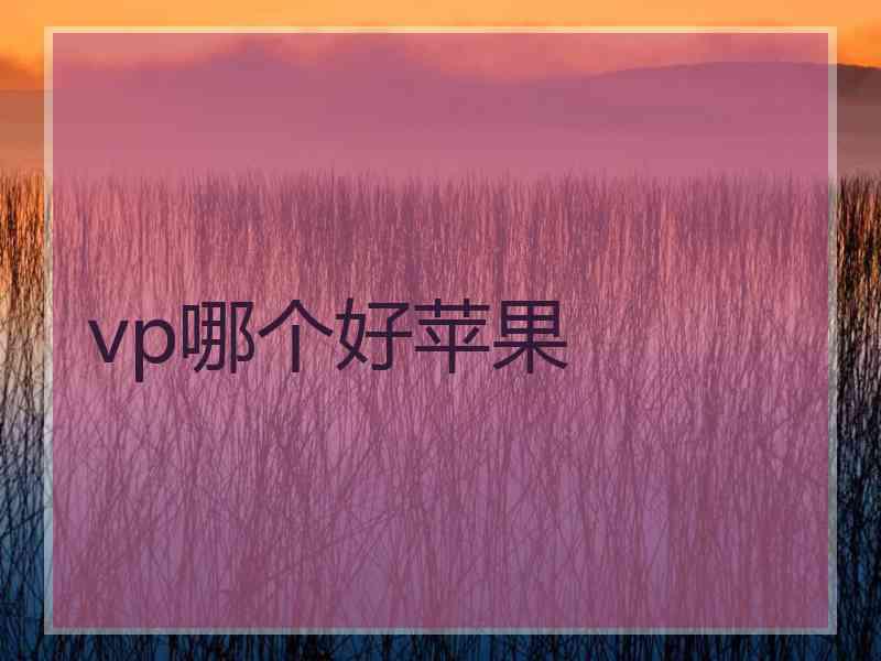 vp哪个好苹果