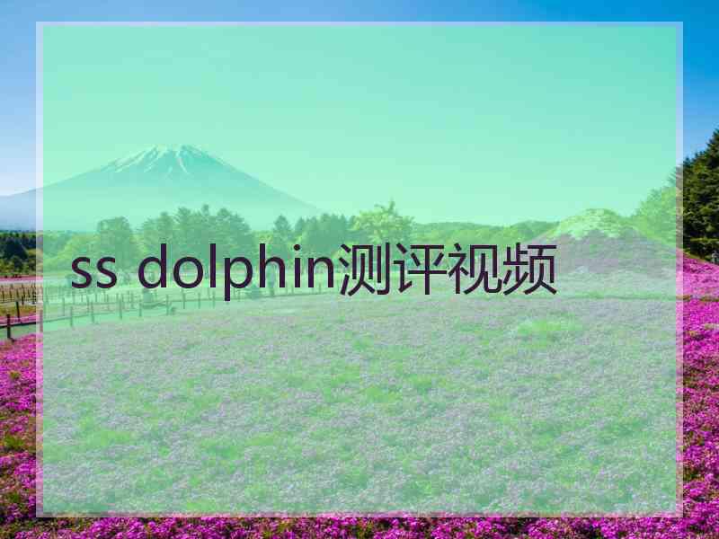 ss dolphin测评视频