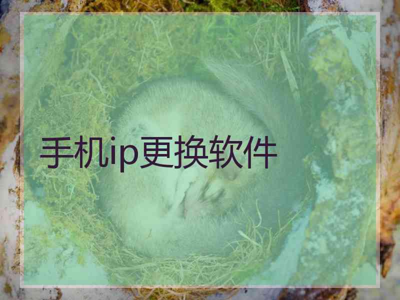 手机ip更换软件