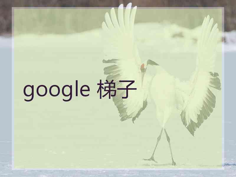 google 梯子