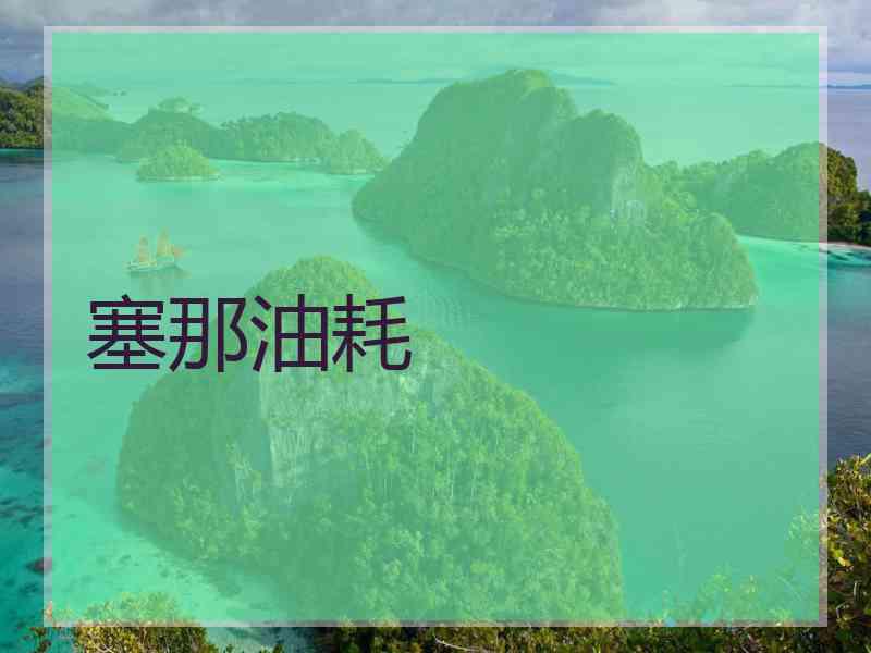 塞那油耗