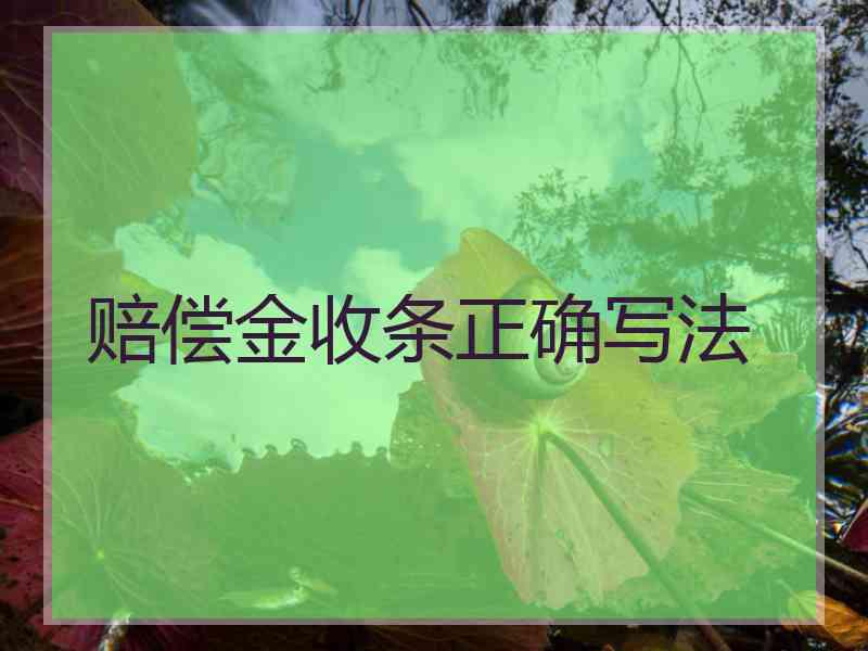 赔偿金收条正确写法