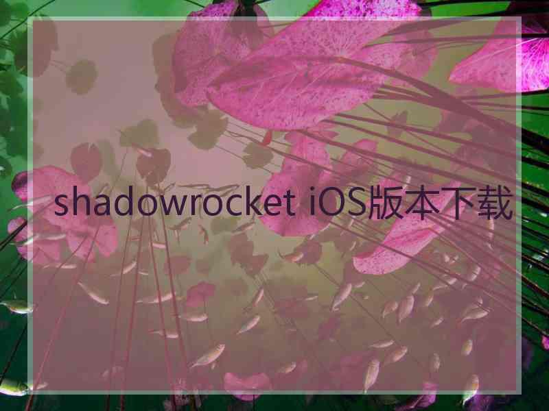 shadowrocket iOS版本下载