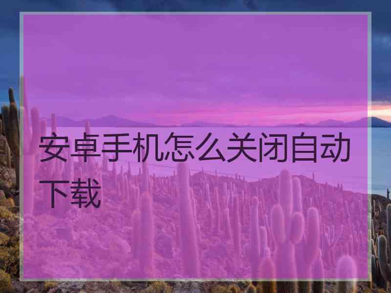 安卓手机怎么关闭自动下载