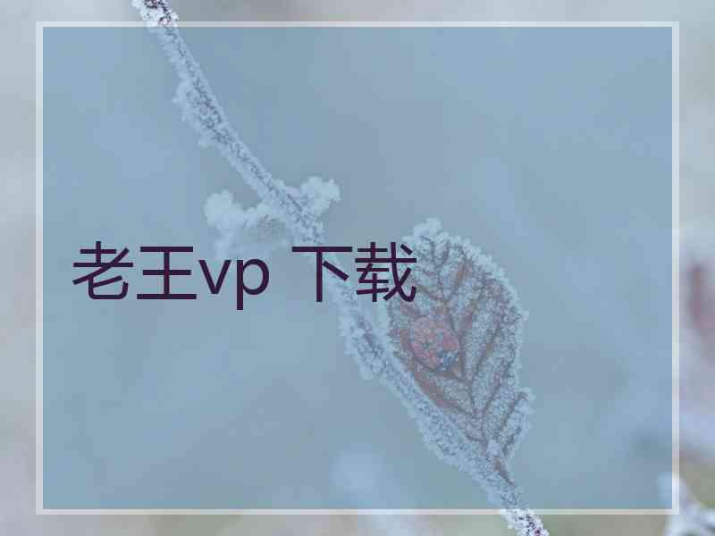 老王vp 下载