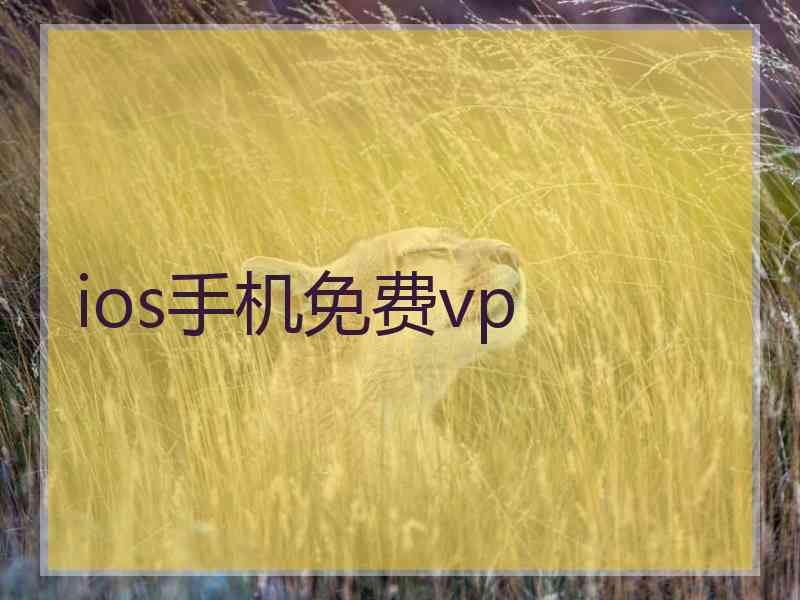 ios手机免费vp