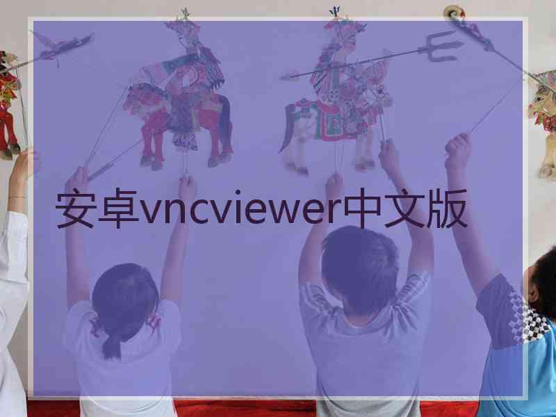 安卓vncviewer中文版