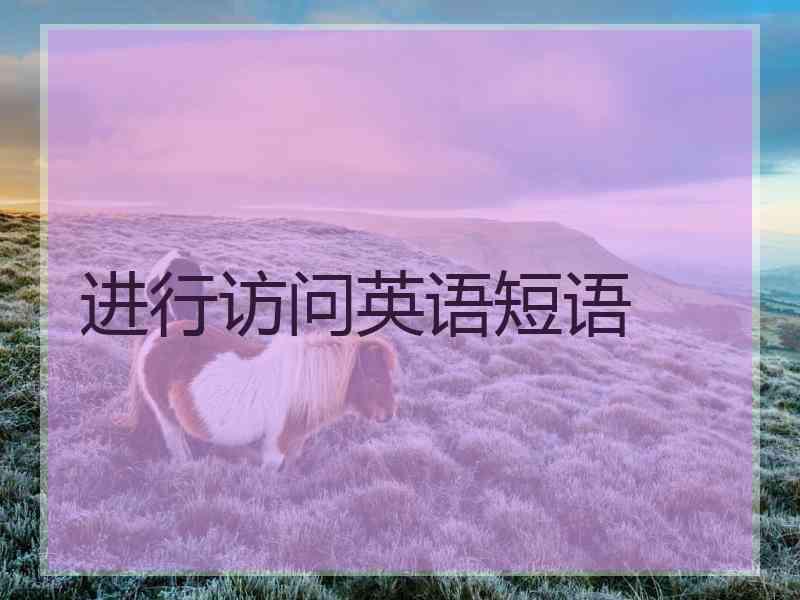 进行访问英语短语