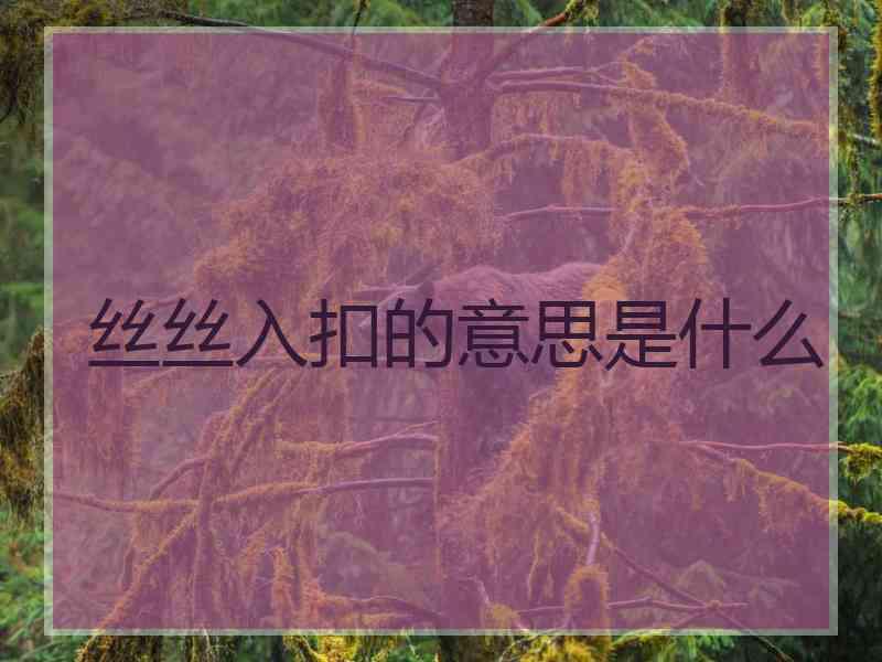 丝丝入扣的意思是什么