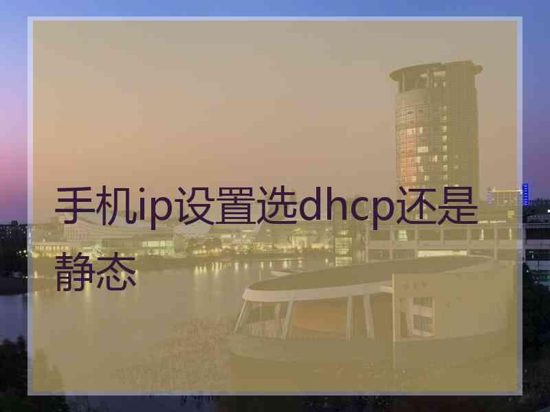 手机ip设置选dhcp还是静态