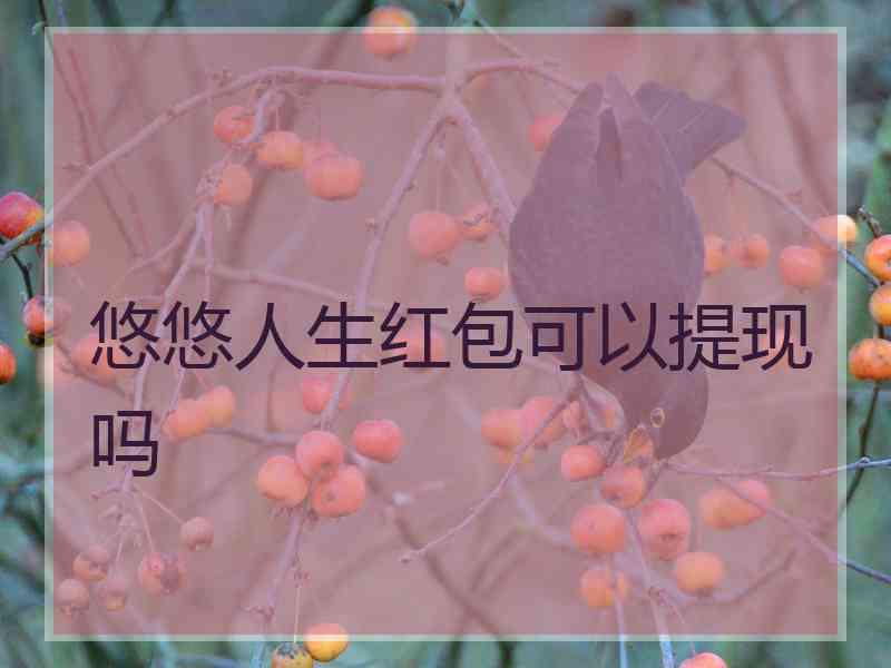 悠悠人生红包可以提现吗