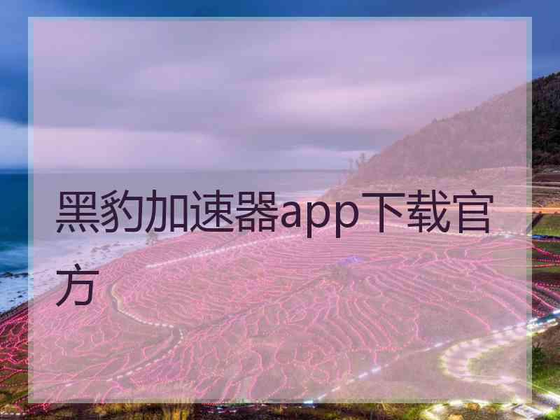 黑豹加速器app下载官方