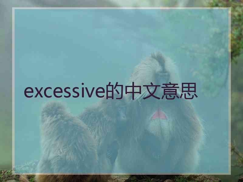 excessive的中文意思