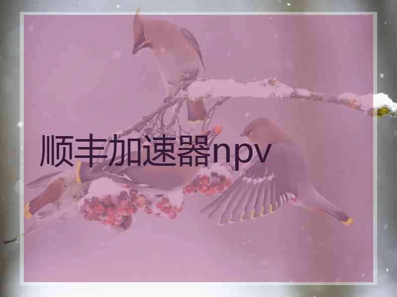 顺丰加速器npv