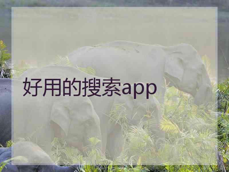 好用的搜索app