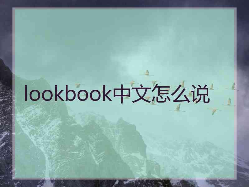 lookbook中文怎么说