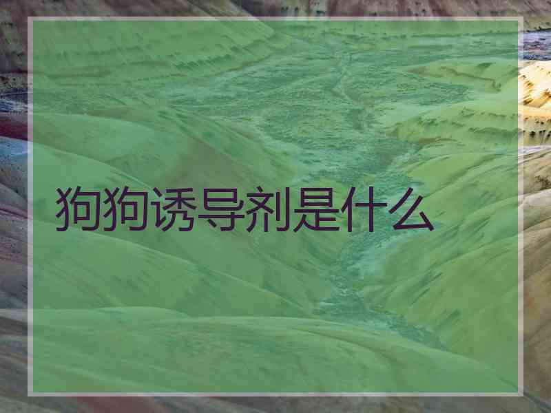 狗狗诱导剂是什么