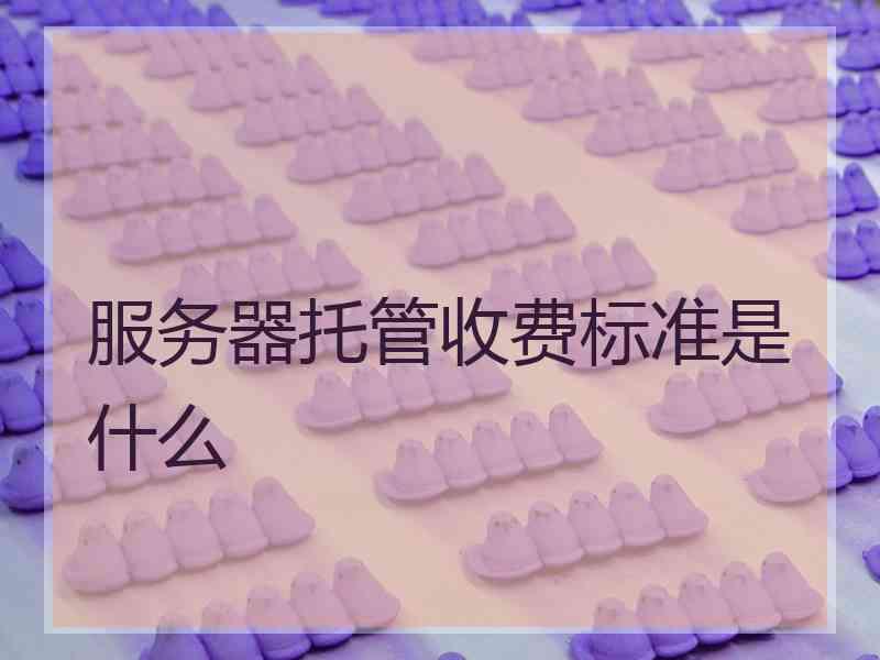 服务器托管收费标准是什么