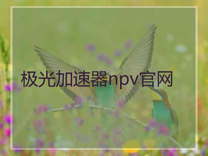 极光加速器npv官网