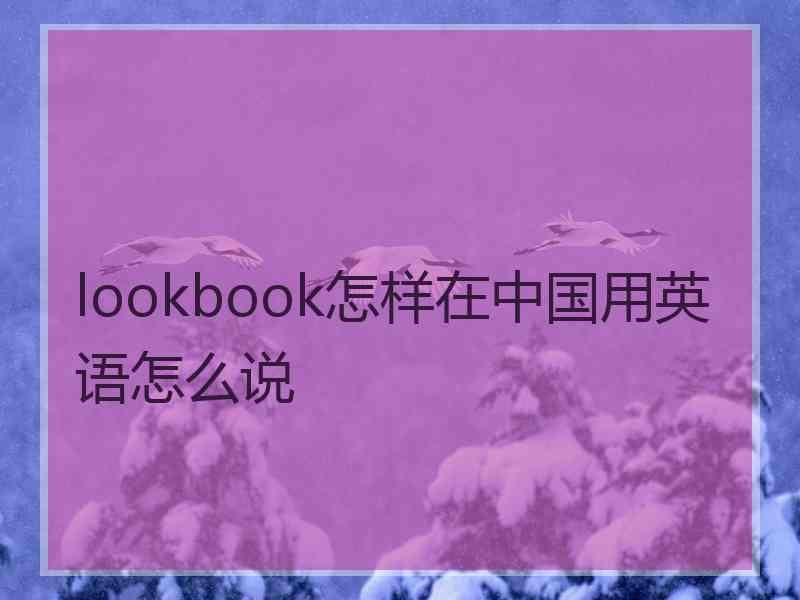 lookbook怎样在中国用英语怎么说