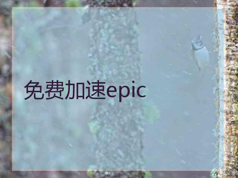 免费加速epic