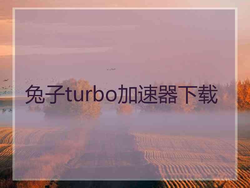 兔子turbo加速器下载