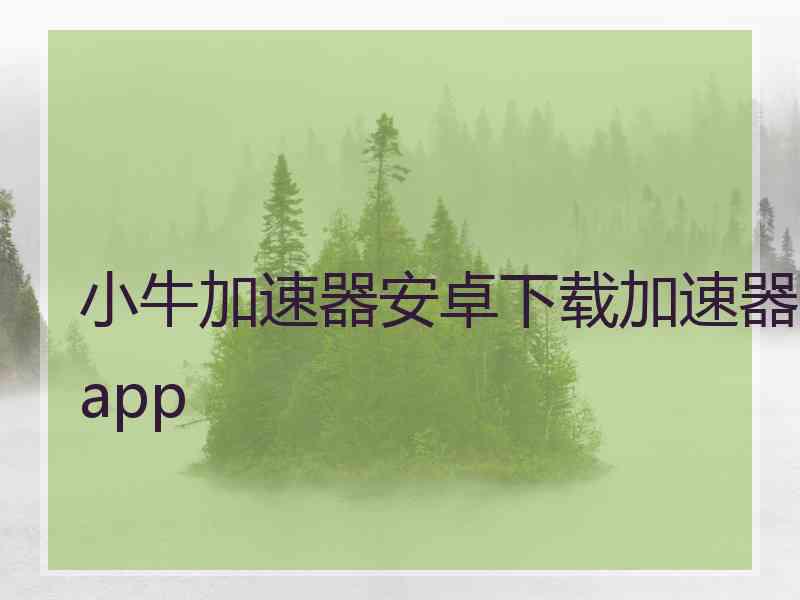 小牛加速器安卓下载加速器app