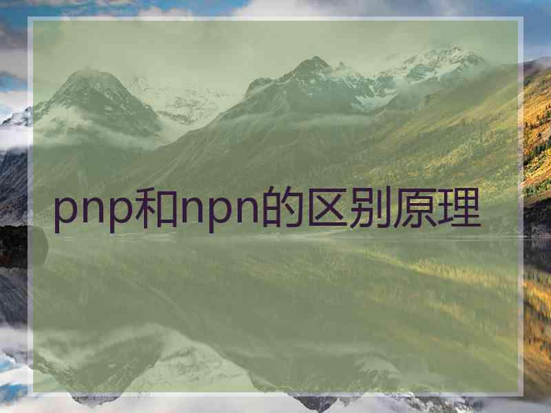 pnp和npn的区别原理