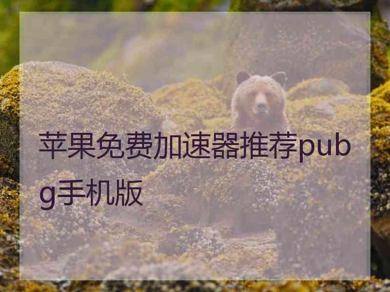 苹果免费加速器推荐pubg手机版