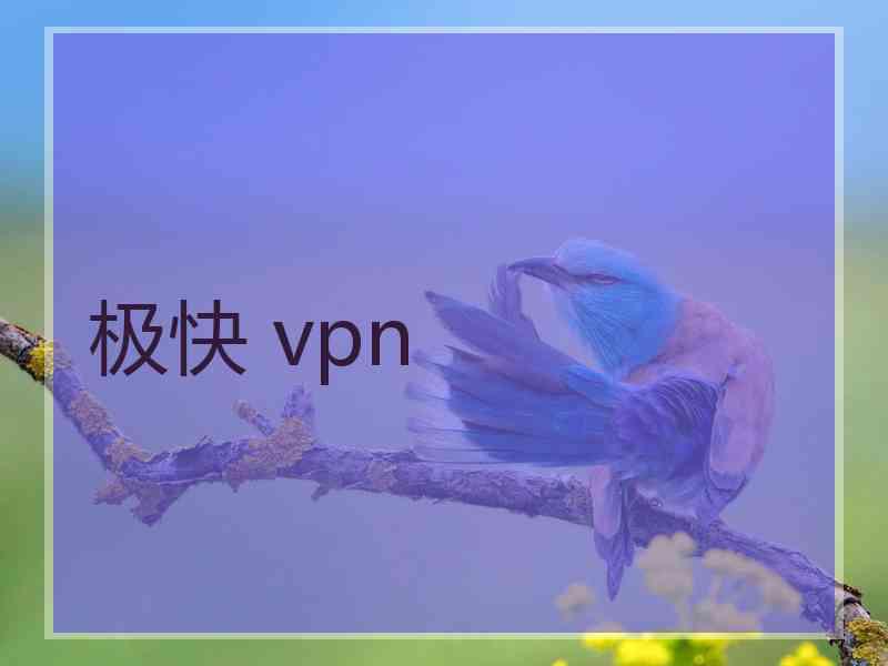 极快 vpn