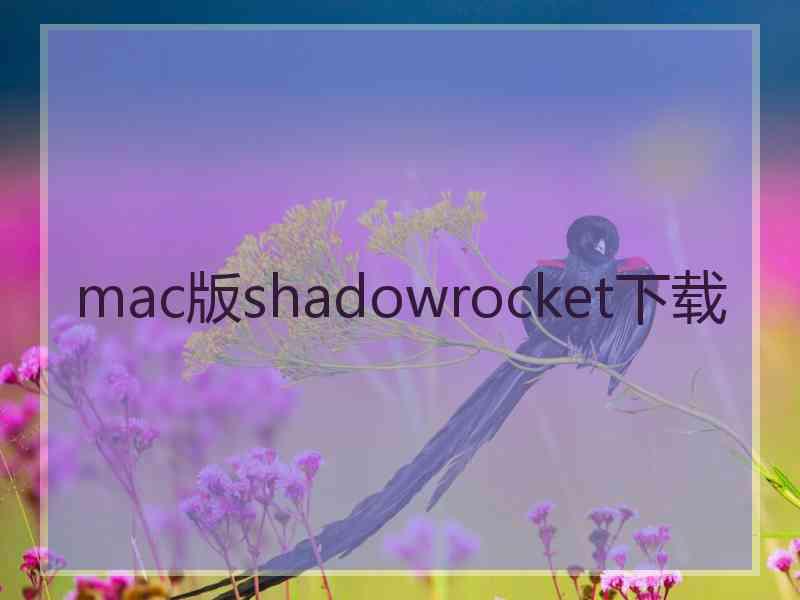 mac版shadowrocket下载