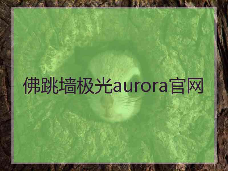 佛跳墙极光aurora官网