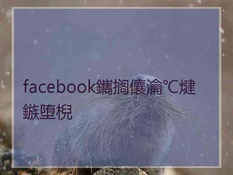 facebook鑴搁儴瀹℃煡鏃堕棿