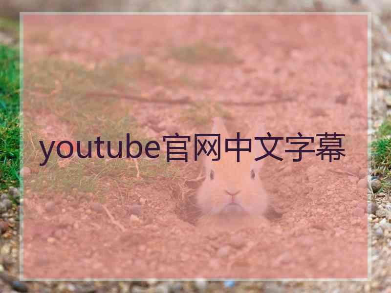 youtube官网中文字幕