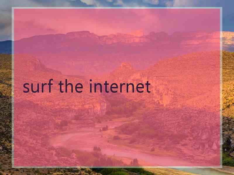 surf the internet