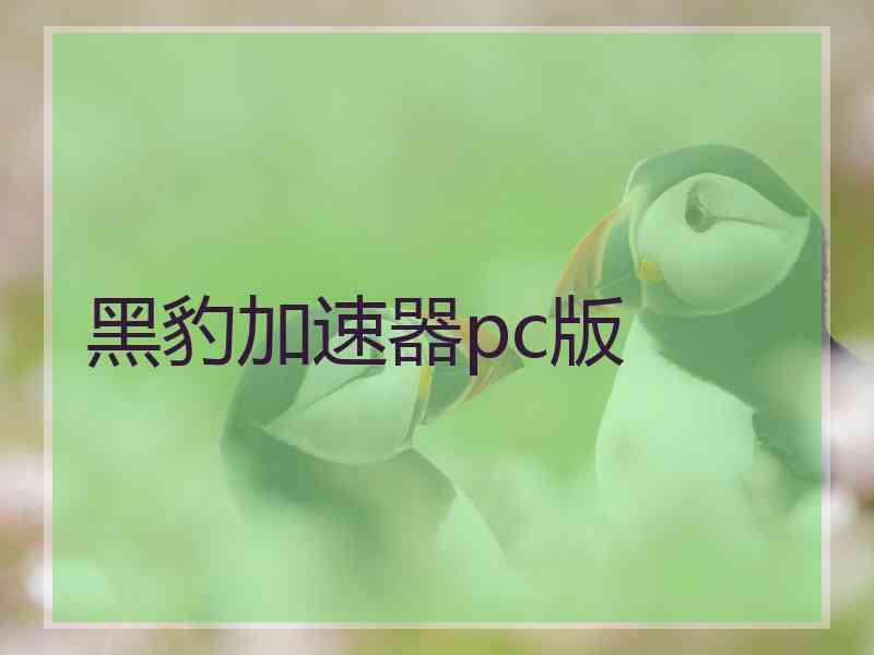 黑豹加速器pc版