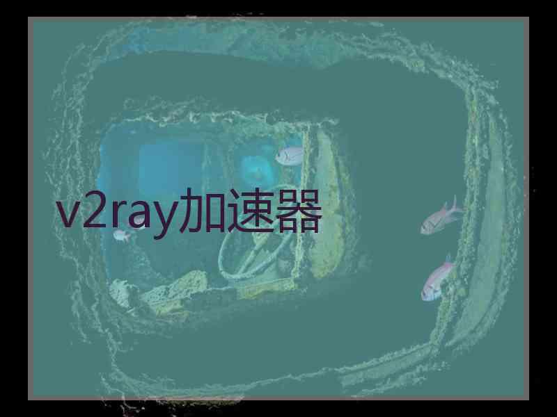 v2ray加速器