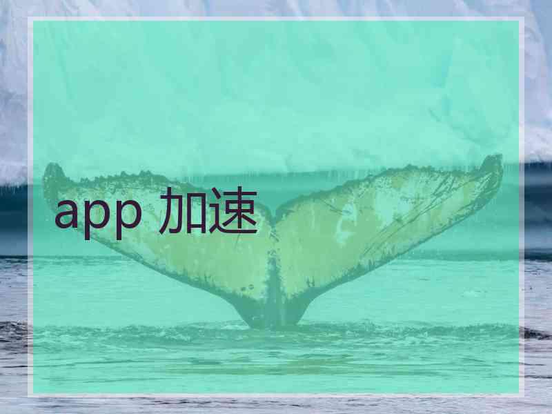 app 加速