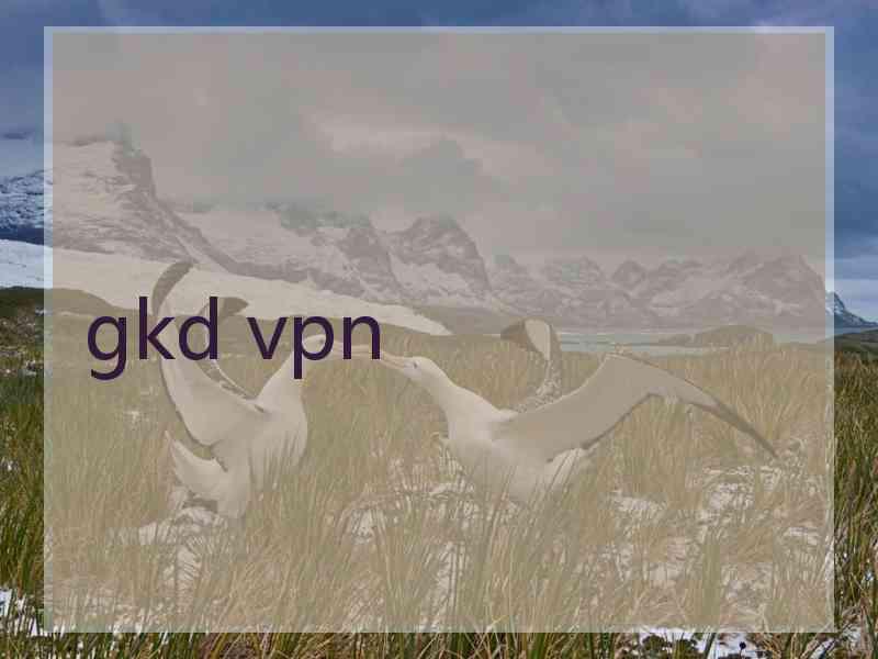 gkd vpn