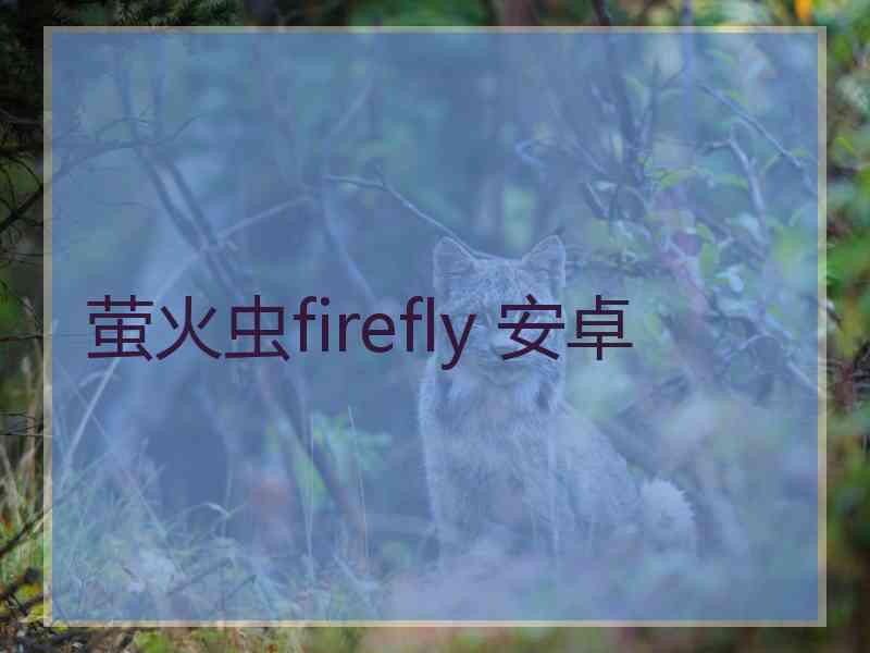 萤火虫firefly 安卓