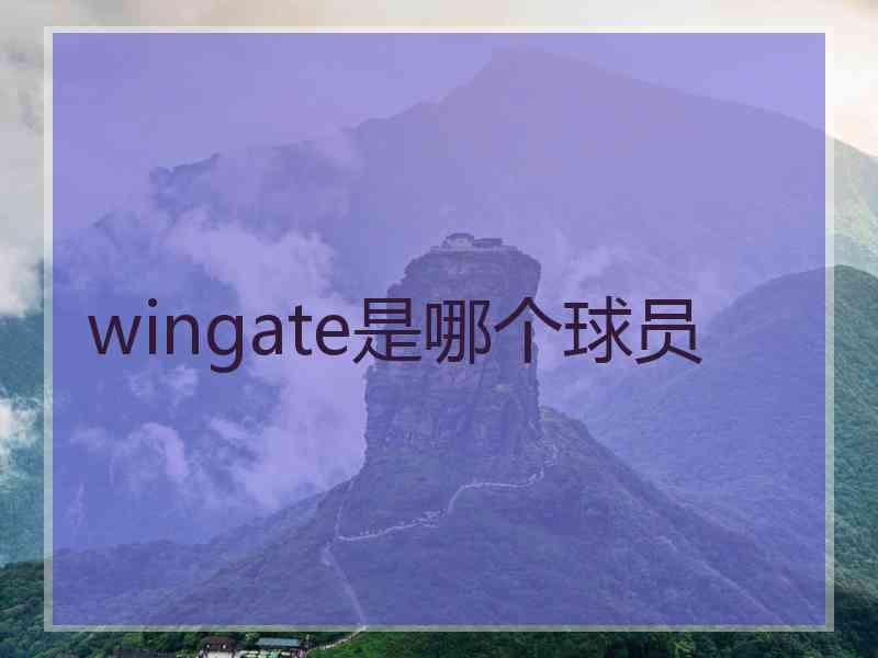 wingate是哪个球员