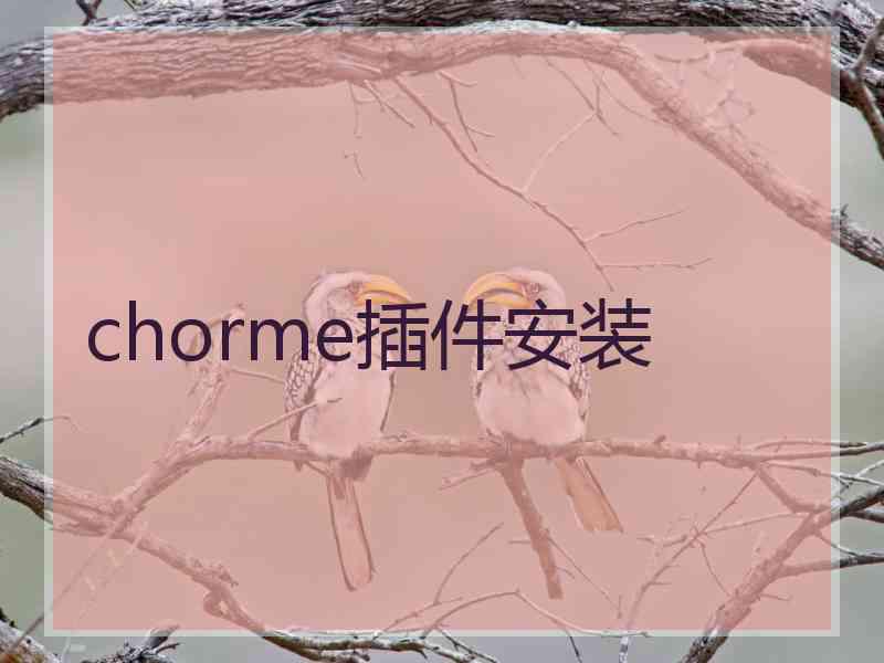 chorme插件安装